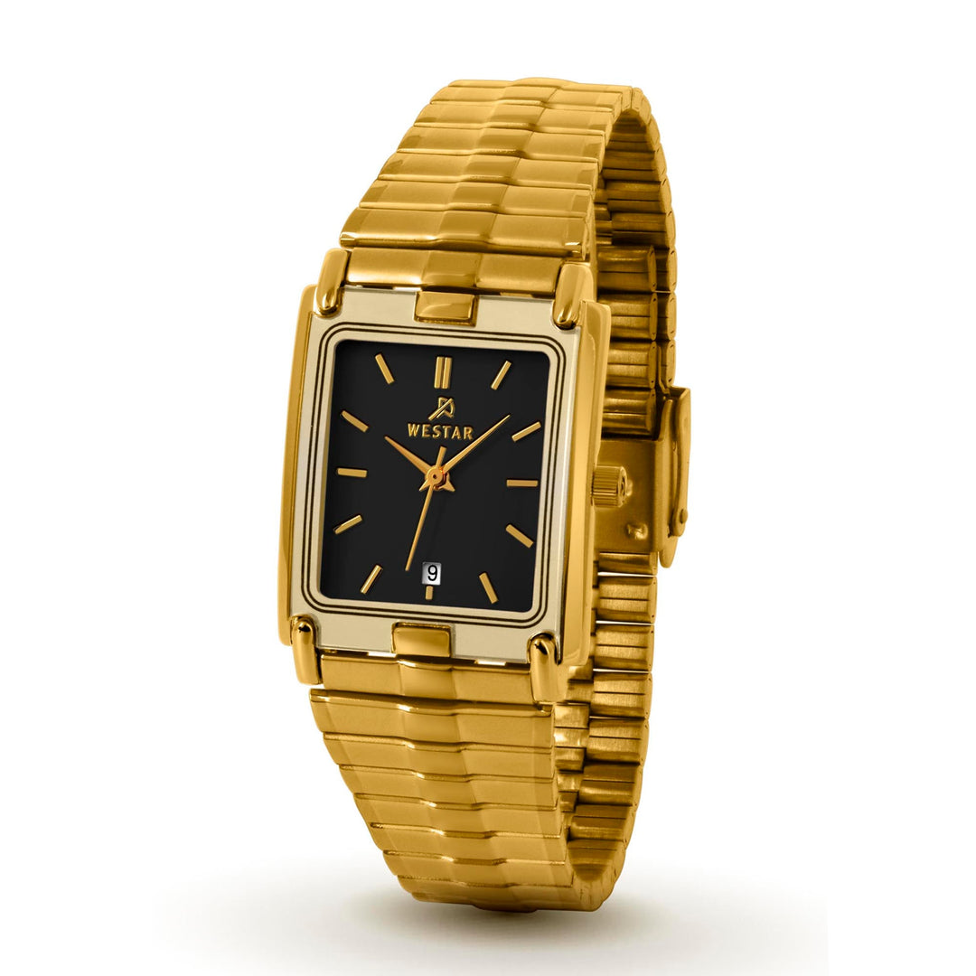 Westar Executive Unisex Watch - Black Dial  - 8920GPN203