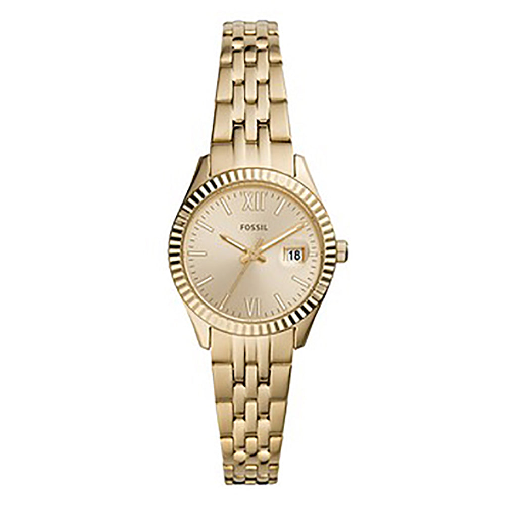 Fossil Analog Men&