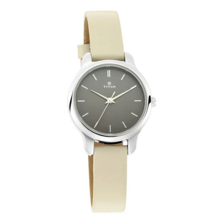 Titan Minimalist | Smoky Grey Sunray Watch with Premium Genuine Leather Band