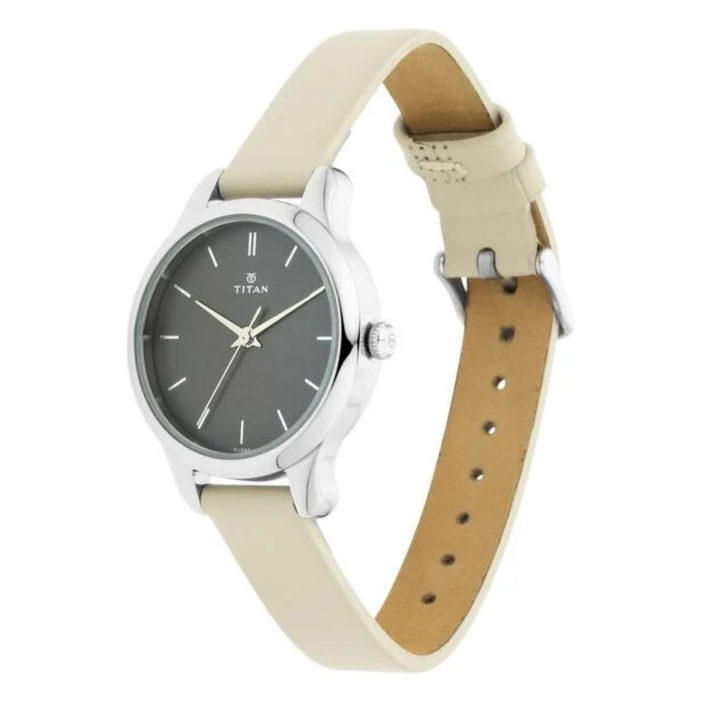 Titan Minimalist | Smoky Grey Sunray Watch with Premium Genuine Leather Band