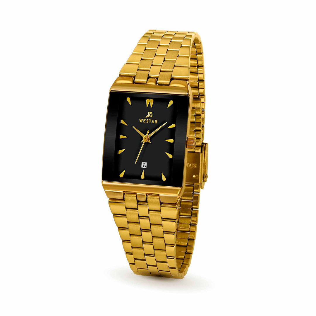 Westar Executive Unisex Watch - Black Dial  - 9905GPN603